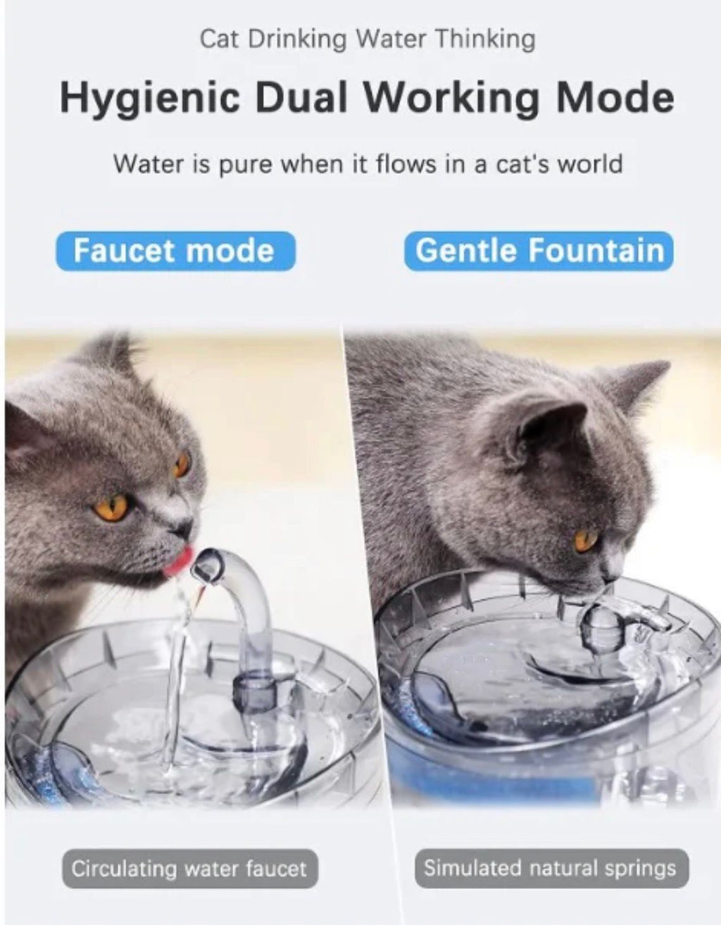 Fuente Inteligente para Mascotas – Hidratación Natural y Segura⭐⭐⭐⭐⭐